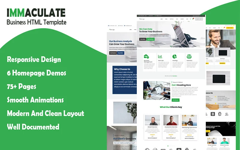 Immaculate Business HTML Template
